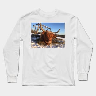 Scottish Highland Cattle Cow 2276 Long Sleeve T-Shirt